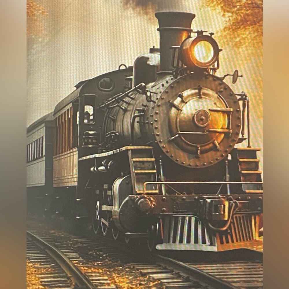 (1MC15)Retro Look Steam Engine Train Shower Curtain with Hooks New